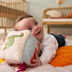 Cube d'éveil Les Amis Dinos