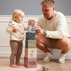 Cubes à empiler Animaux nordiques