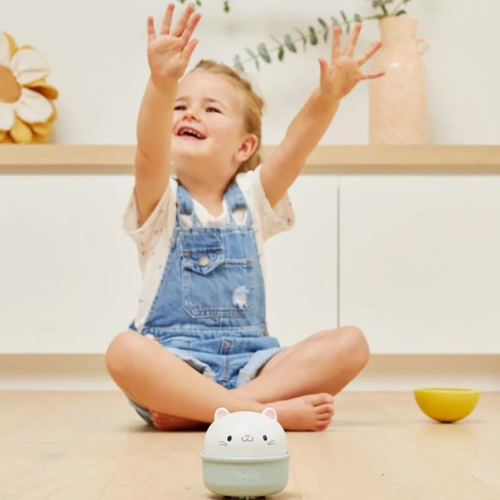 Culbuto et animal à friction chat