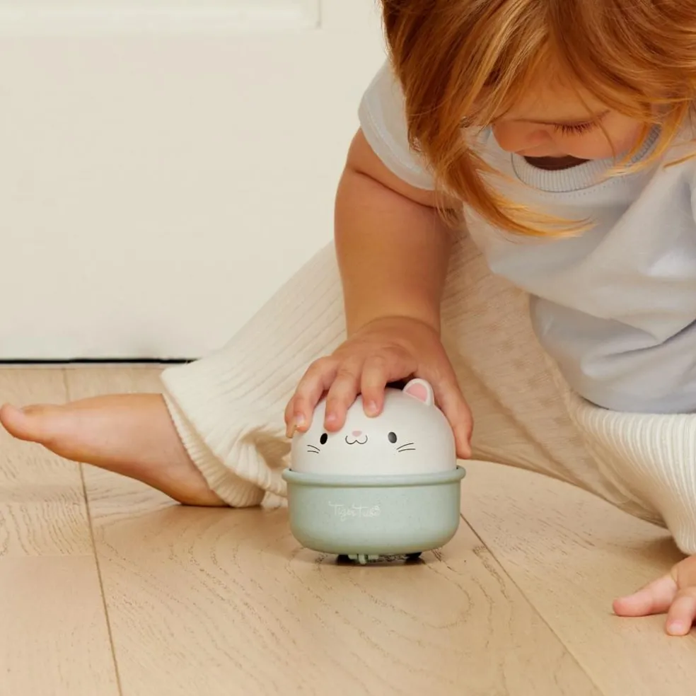 Culbuto et animal à friction chat