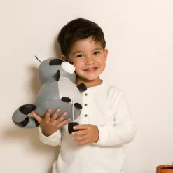 Denver le Raton laveur musical