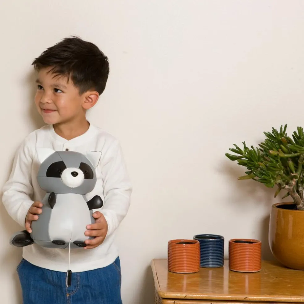 Denver le Raton laveur musical