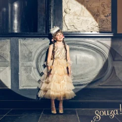 Déguisement Christianne robe (3-4 ans)