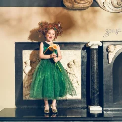 Déguisement Luisa robe (3-4 ans)