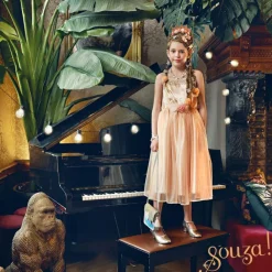 Déguisement princesse Amélie (3-4 ans)