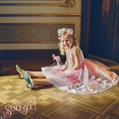 Déguisement princesse Swan (3-4 ans)