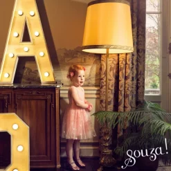 Déguisement Roselyne robe (2 ans)