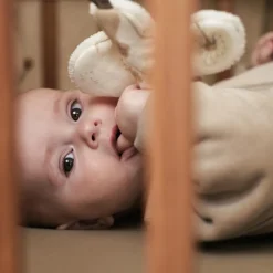 Doudou attache sucette Dreamy Mouse