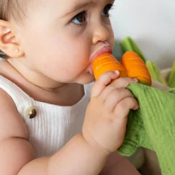 Doudou de dentition 2 en 1 Cathy la carotte