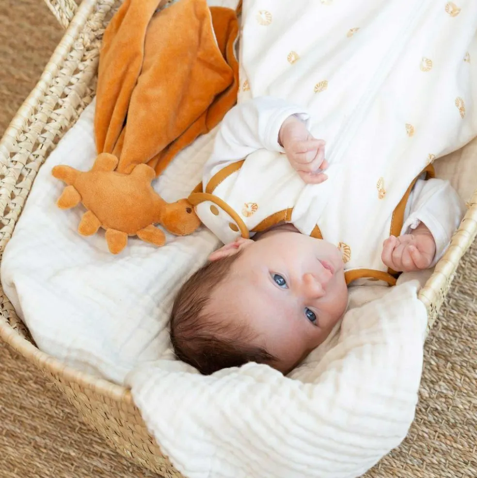 Doudou plat Diplododo