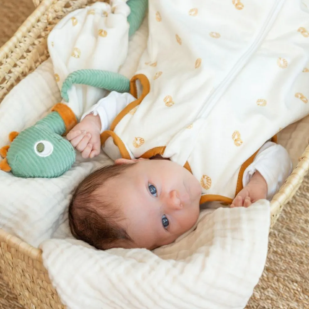 Doudou plat Diplododo (34 cm)