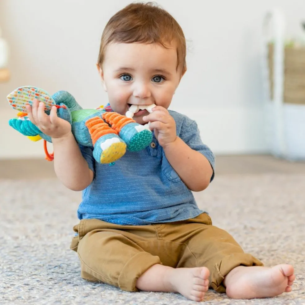 Eléphant multi-activités