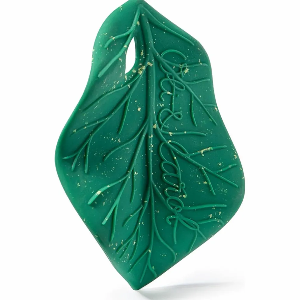 Feuille de Chlorophylle jouet de dentition