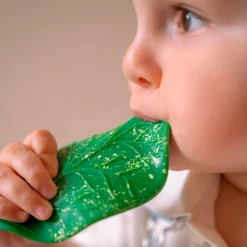 Feuille de Chlorophylle jouet de dentition