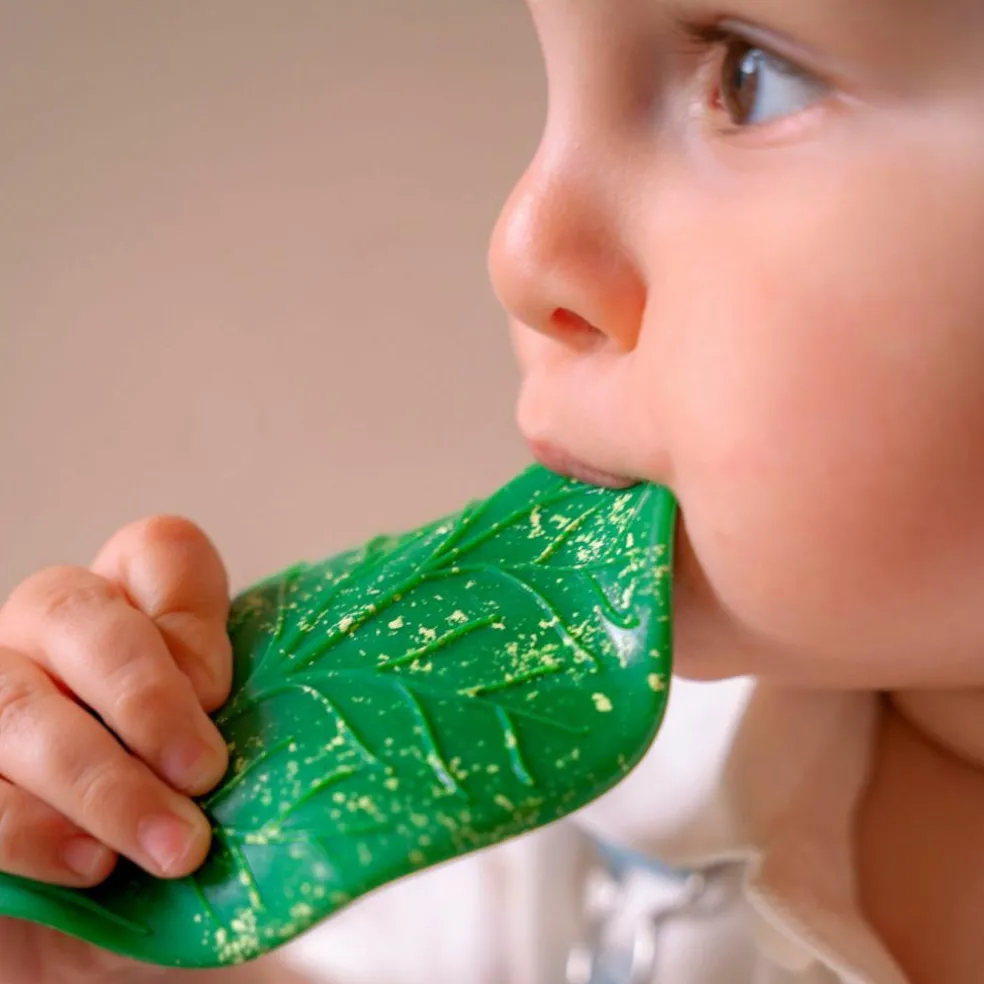Feuille de Chlorophylle jouet de dentition