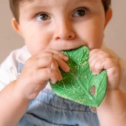 Feuille de Chlorophylle jouet de dentition