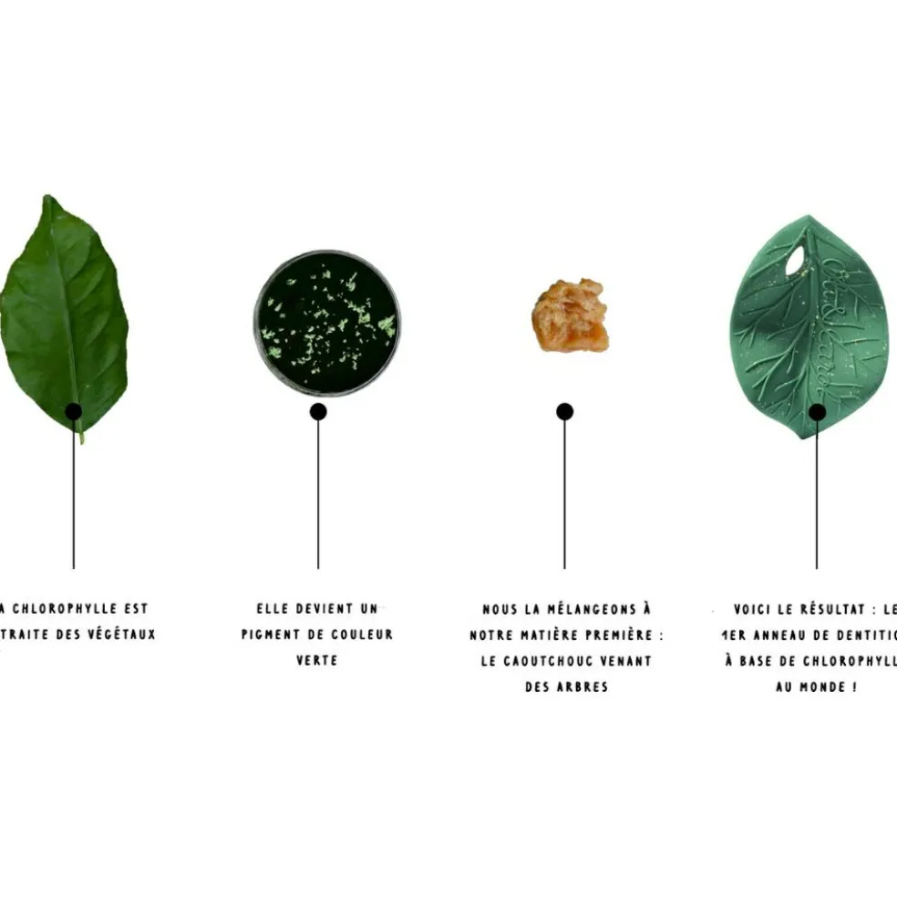 Feuille de Chlorophylle jouet de dentition