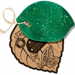 Feuille de Chlorophylle jouet de dentition