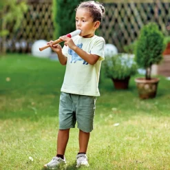 Flûte à bec débutant