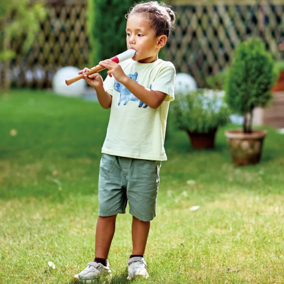 Flûte à bec débutant