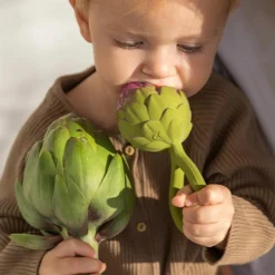 Hochet anneau de dentition 2 en 1 artichaut