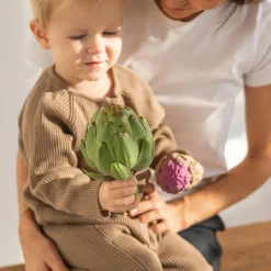 Hochet anneau de dentition 2 en 1 artichaut