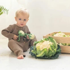 Hochet anneau de dentition 2 en 1 chou-fleur