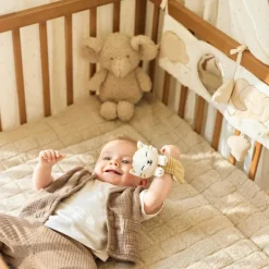 Hochet mains et pieds Charlie