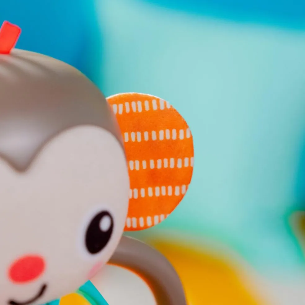 Hochet musical singe