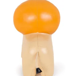 Jackson le Lion Les Animaux Musicaux