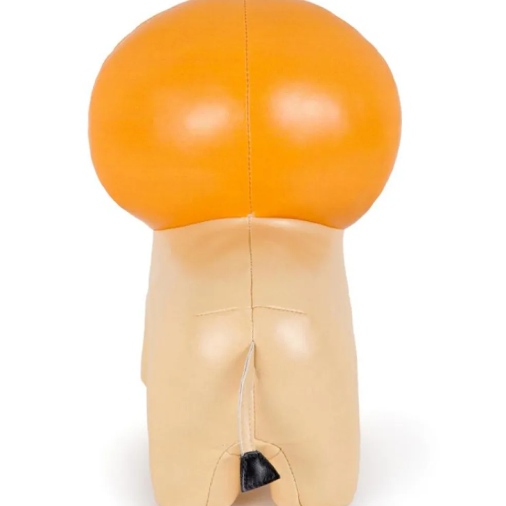 Jackson le Lion Les Animaux Musicaux