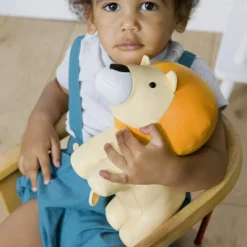 Jackson le Lion Les Animaux Musicaux