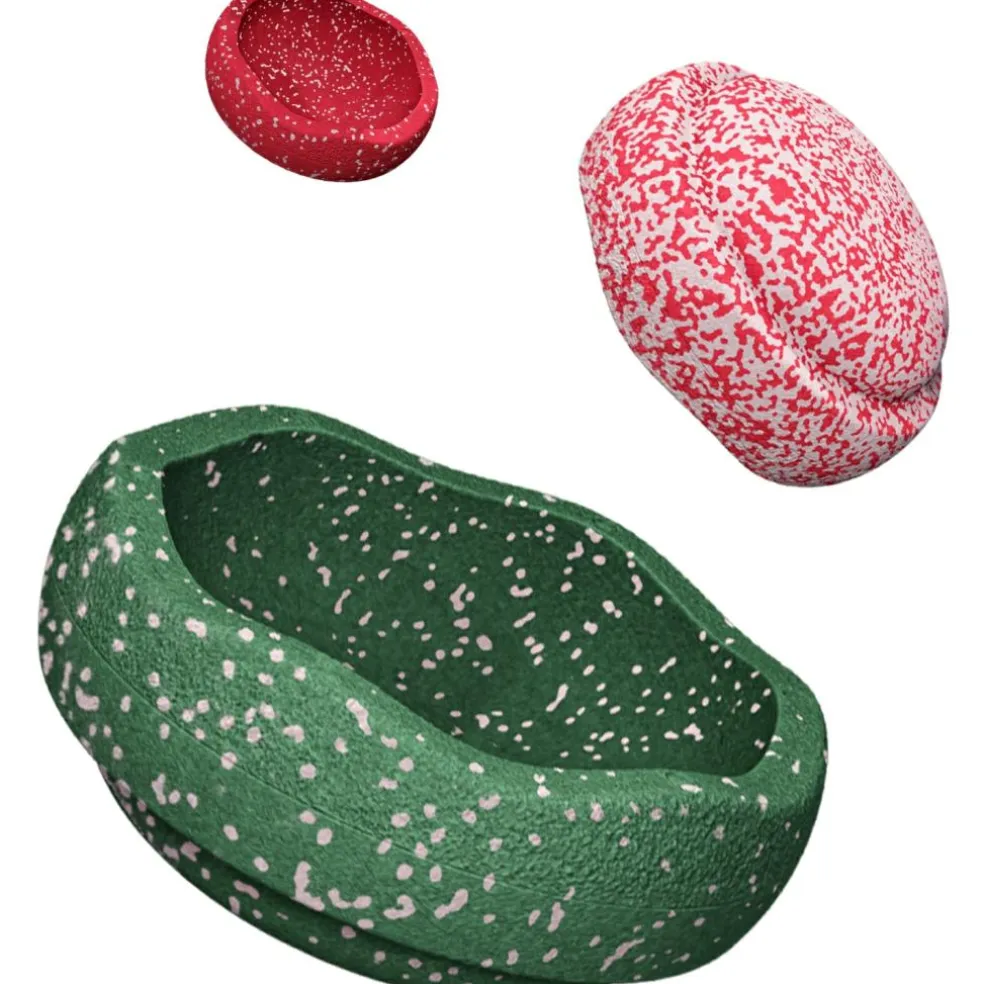 Jeu de motricité Blush Special Trilogy Set