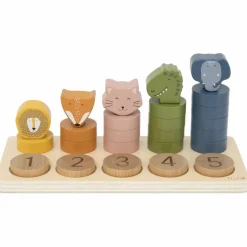 Jouet à encastrer 2 en 1 en bois