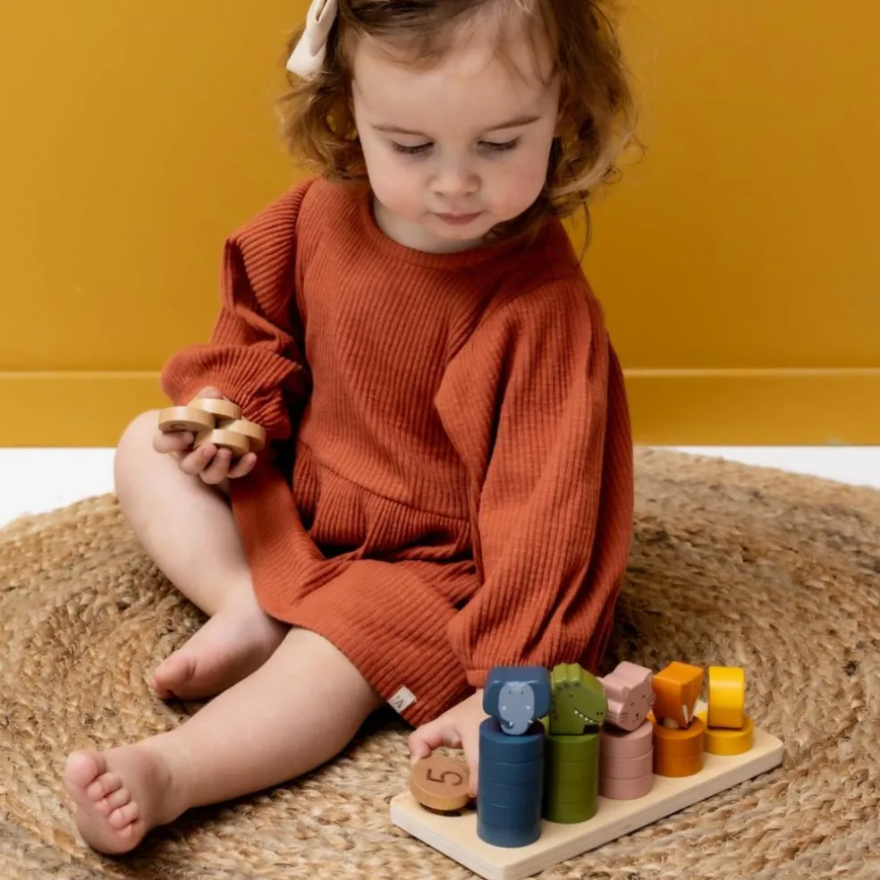 Jouet à encastrer 2 en 1 en bois