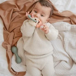 Jouet de dentition Ring Dino