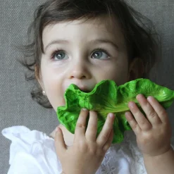 Kendall la feuille de chou en latex d'hévéa