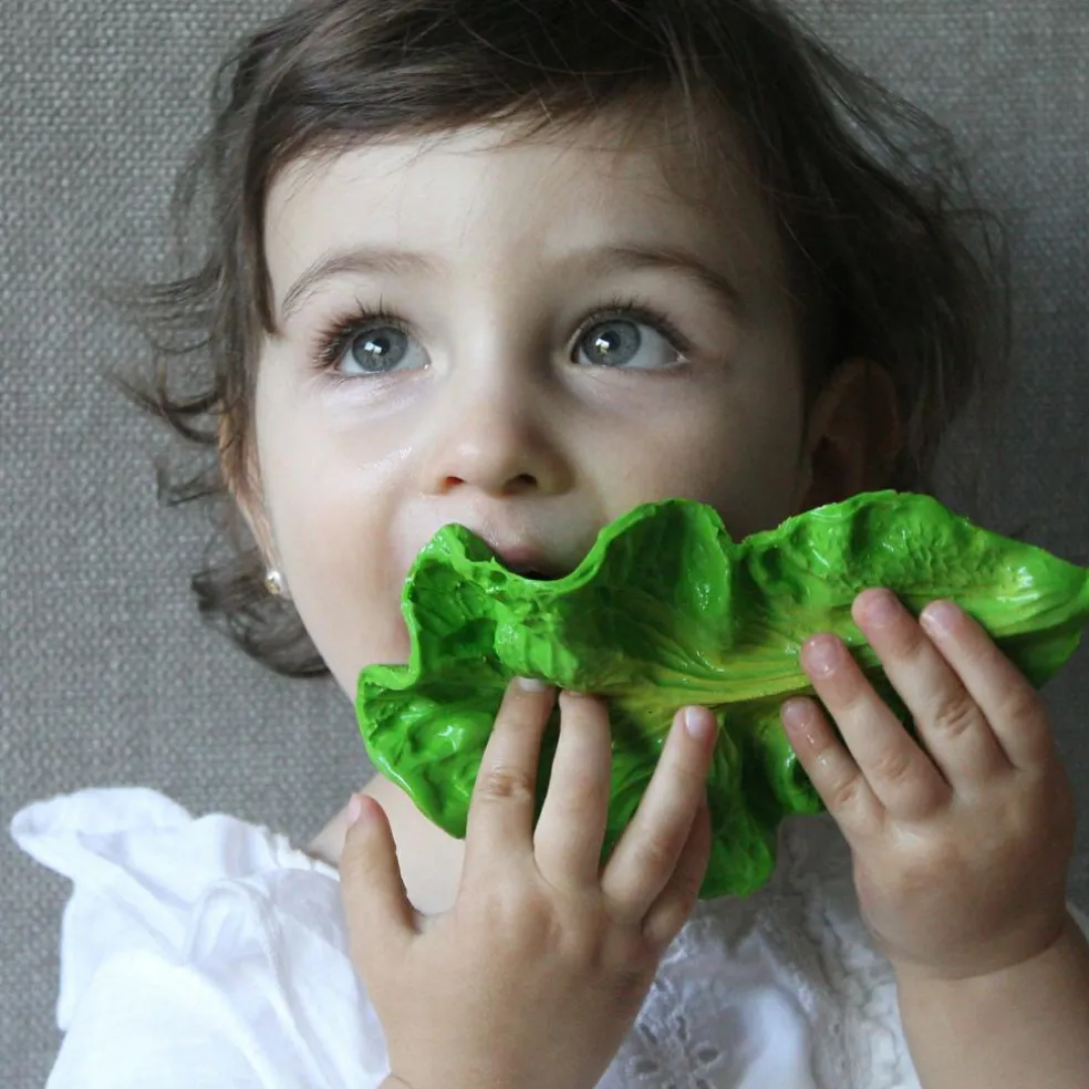 Kendall la feuille de chou en latex d'hévéa