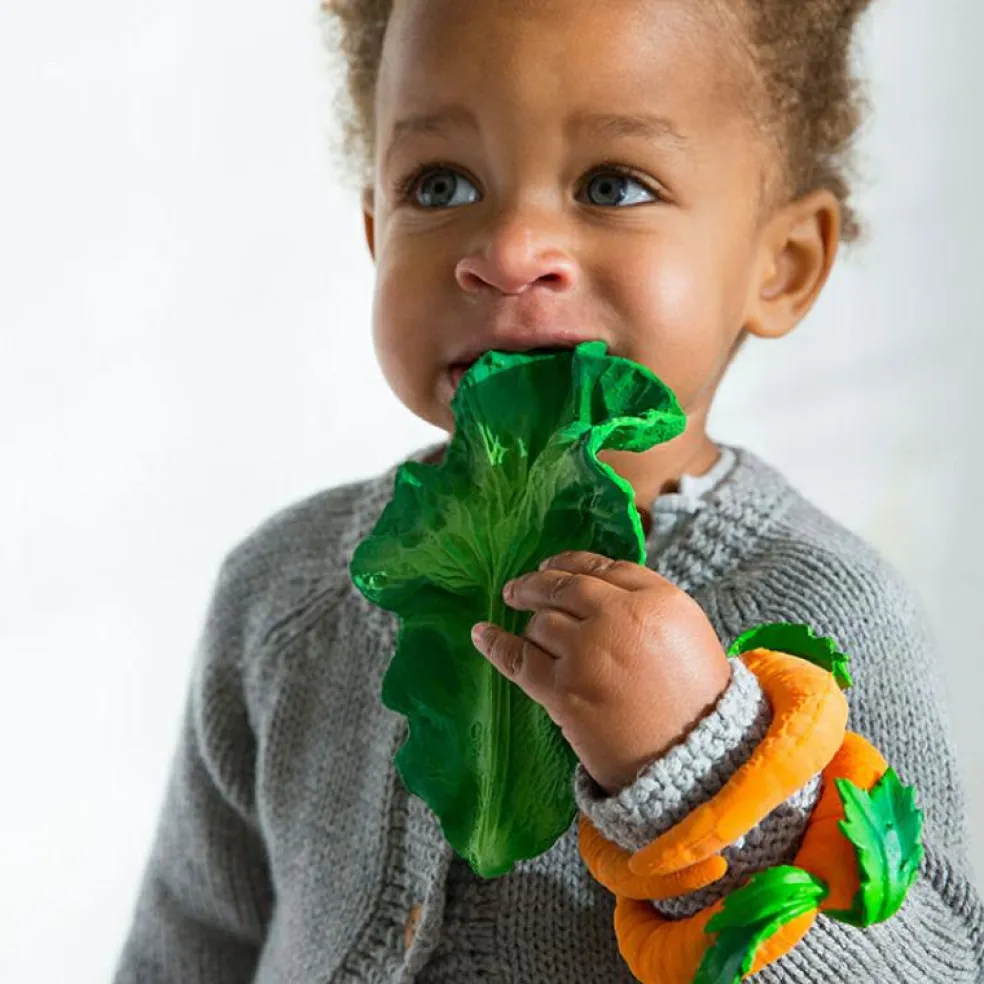 Kendall la feuille de chou en latex d'hévéa