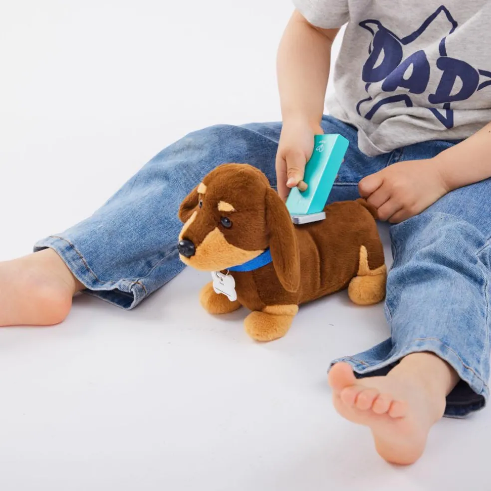 Kit du petit vétérinaire