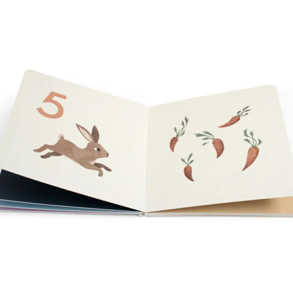 Livre bébé Compter jusqu'à 10