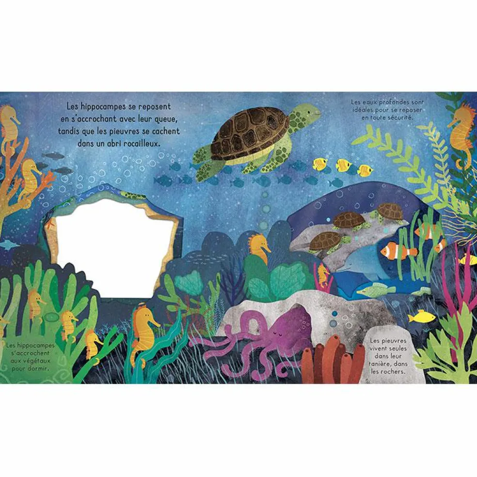 Livre Bonne nuit, l'océan !