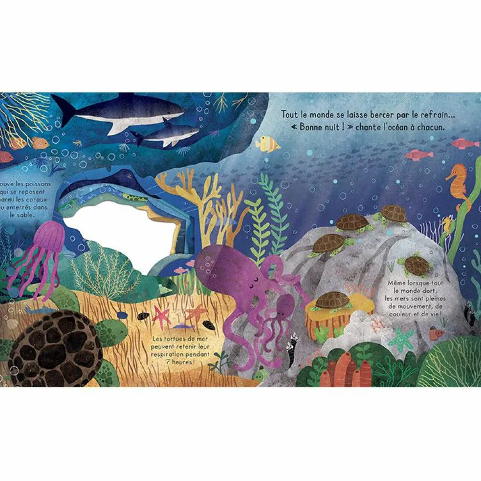 Livre Bonne nuit, l'océan !