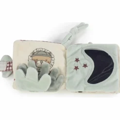 Livre d'activités Lion Gala Cerise