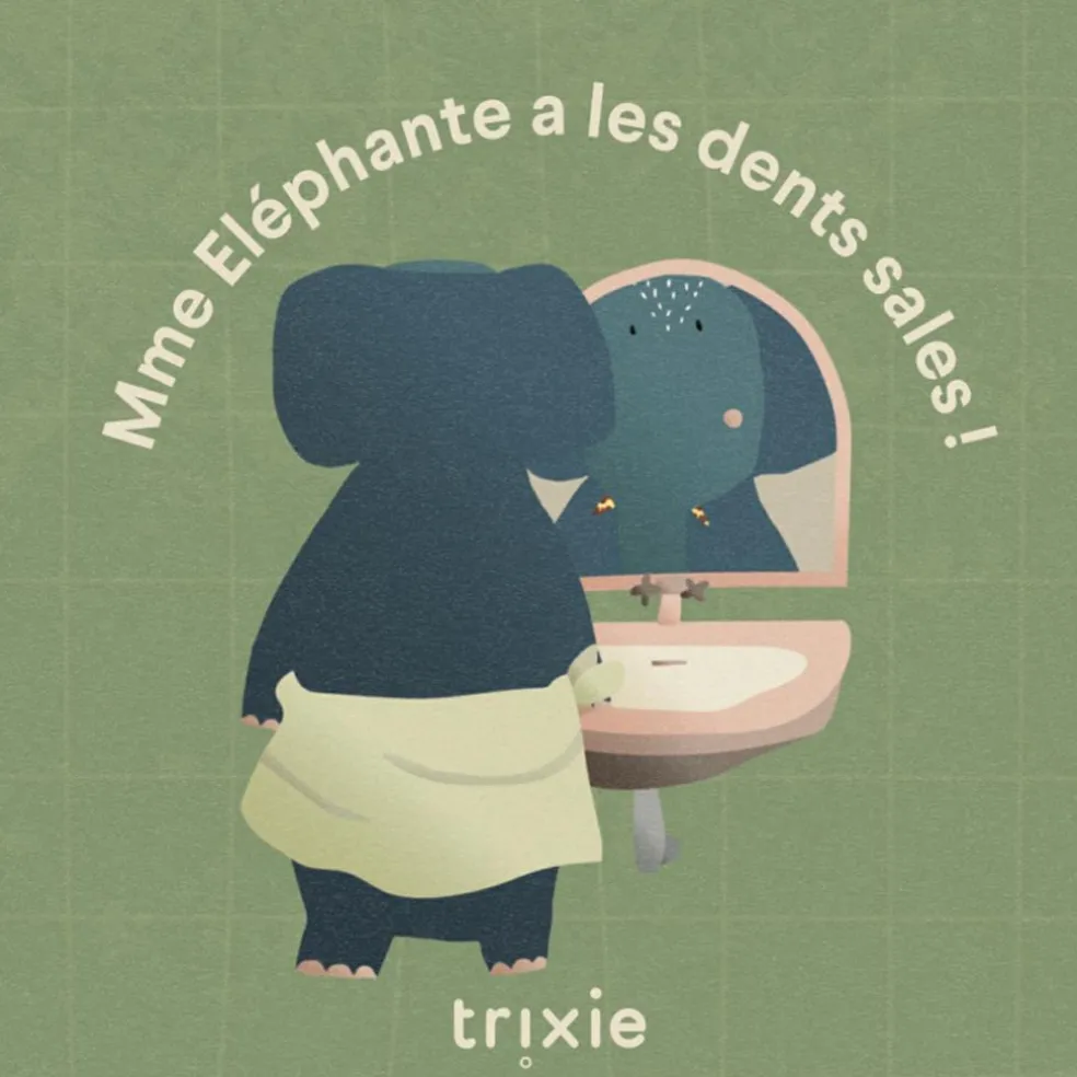 Livre de conte Les dents de l'Eléphant sont sales