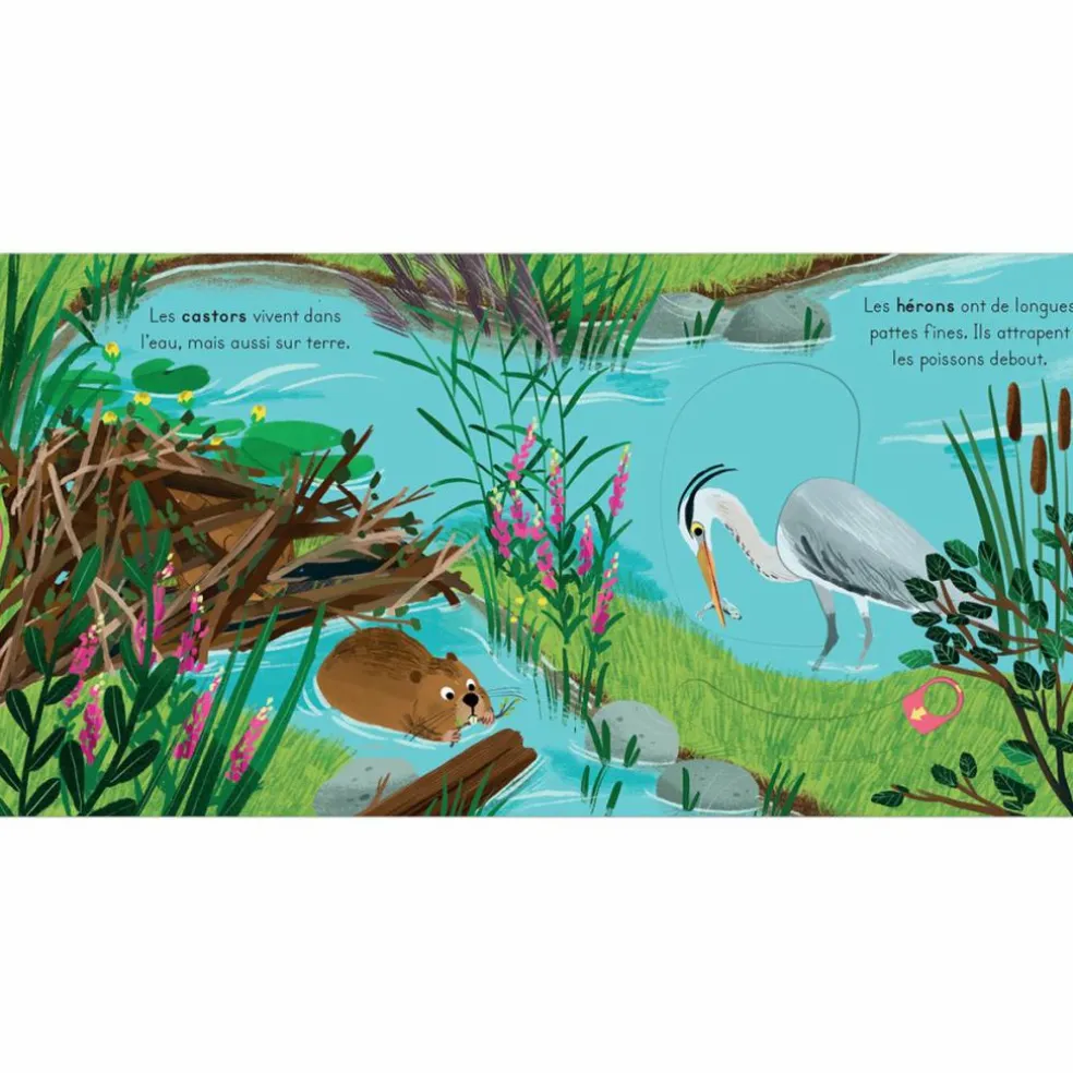 Livre les petits explorateurs - La rivière