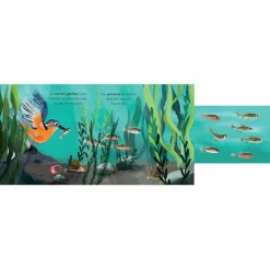 Livre les petits explorateurs - La rivière