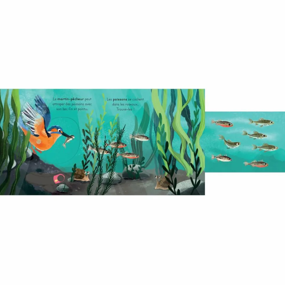 Livre les petits explorateurs - La rivière