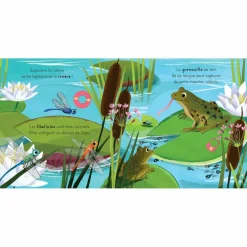 Livre les petits explorateurs - La rivière