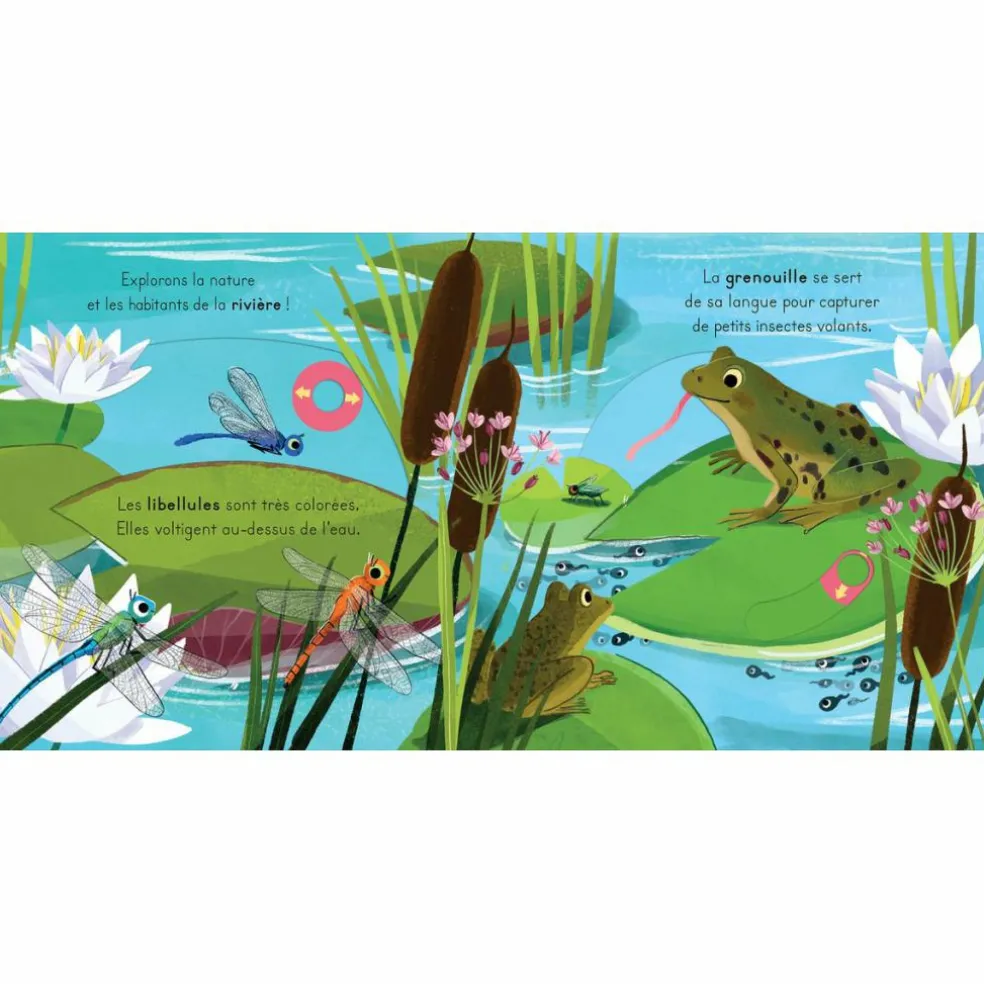 Livre les petits explorateurs - La rivière